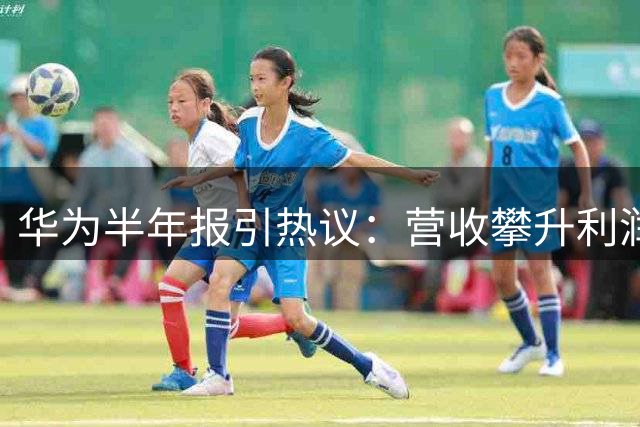 华为半年报引热议：营收攀升利润锐减背后的战略选择