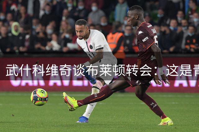 武什科维奇谈布莱顿转会：这是青年球员成长的理想平台