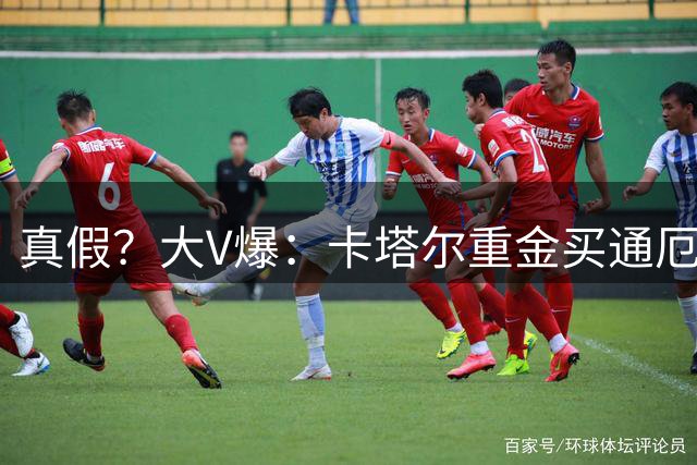 真假？大V爆：卡塔尔重金买通厄瓜多尔球员以赢球
