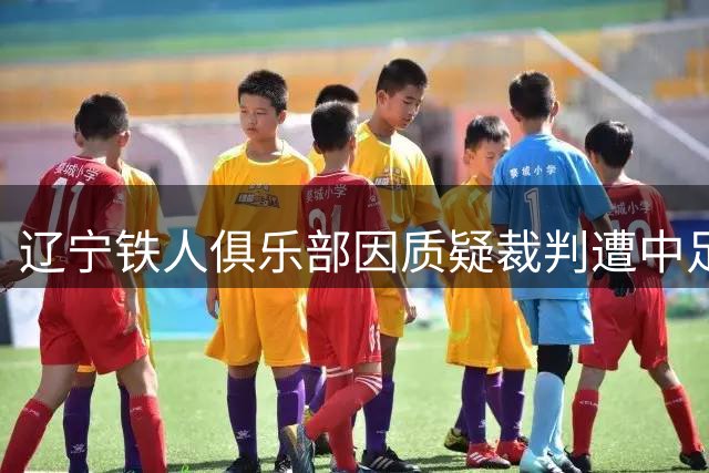 辽宁铁人俱乐部因质疑裁判遭中足联处罚并公开道歉